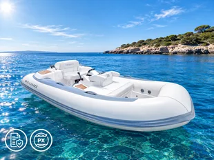Williams Turbojet 285 usato - foto 1