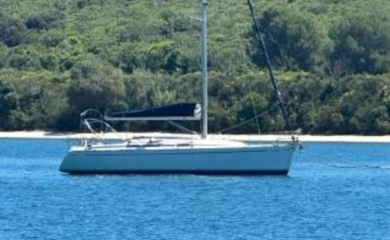 SAS Vektor 361 usato - foto 1