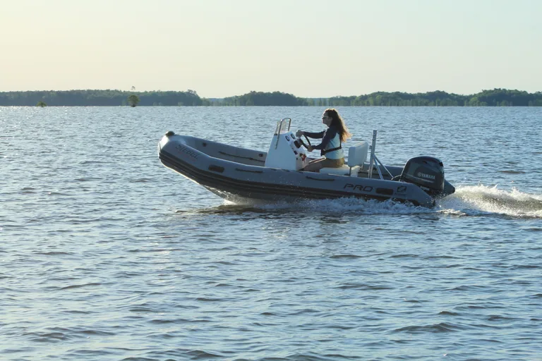 Zodiac Pro 500