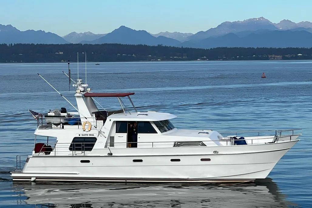 Malcolm Tennant Pachoud Pilothouse Powercat used - photo 1