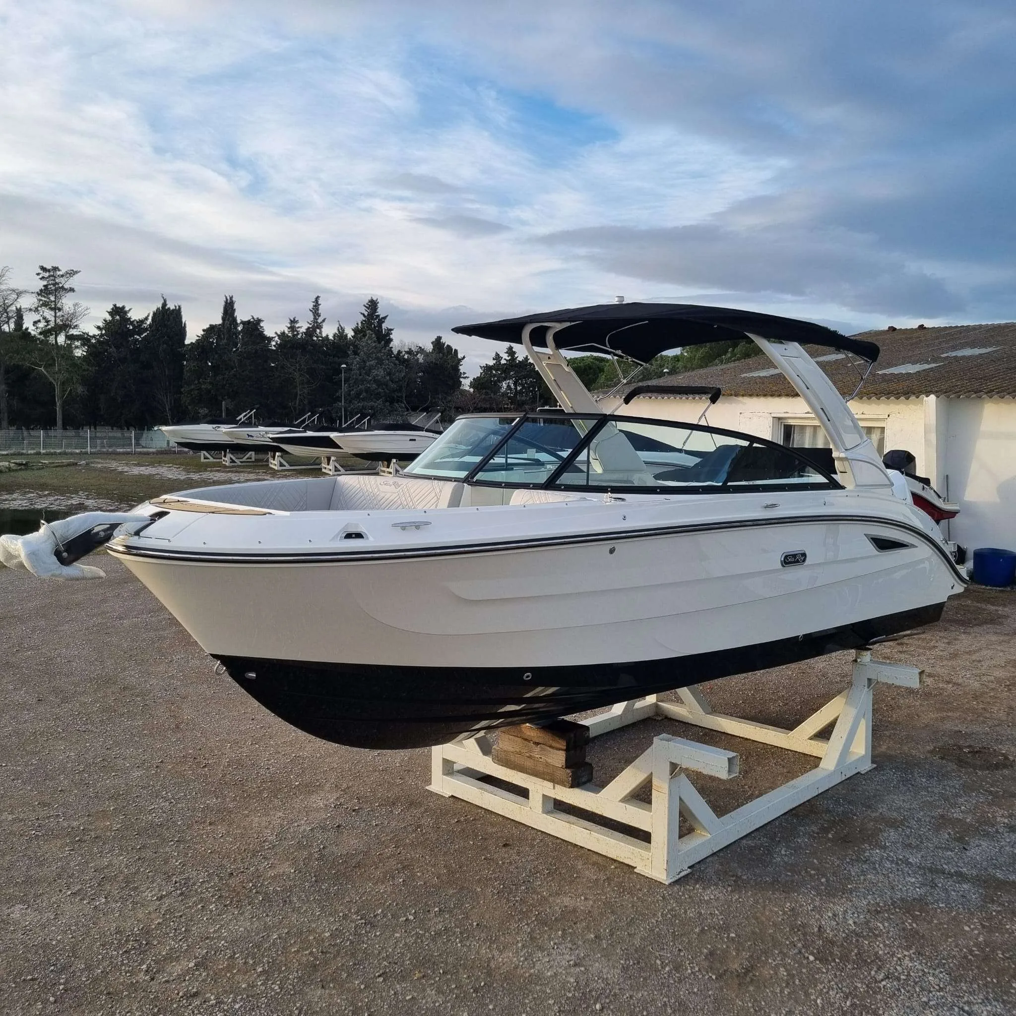 Sea Ray 250 SDX gebraucht - Foto 1