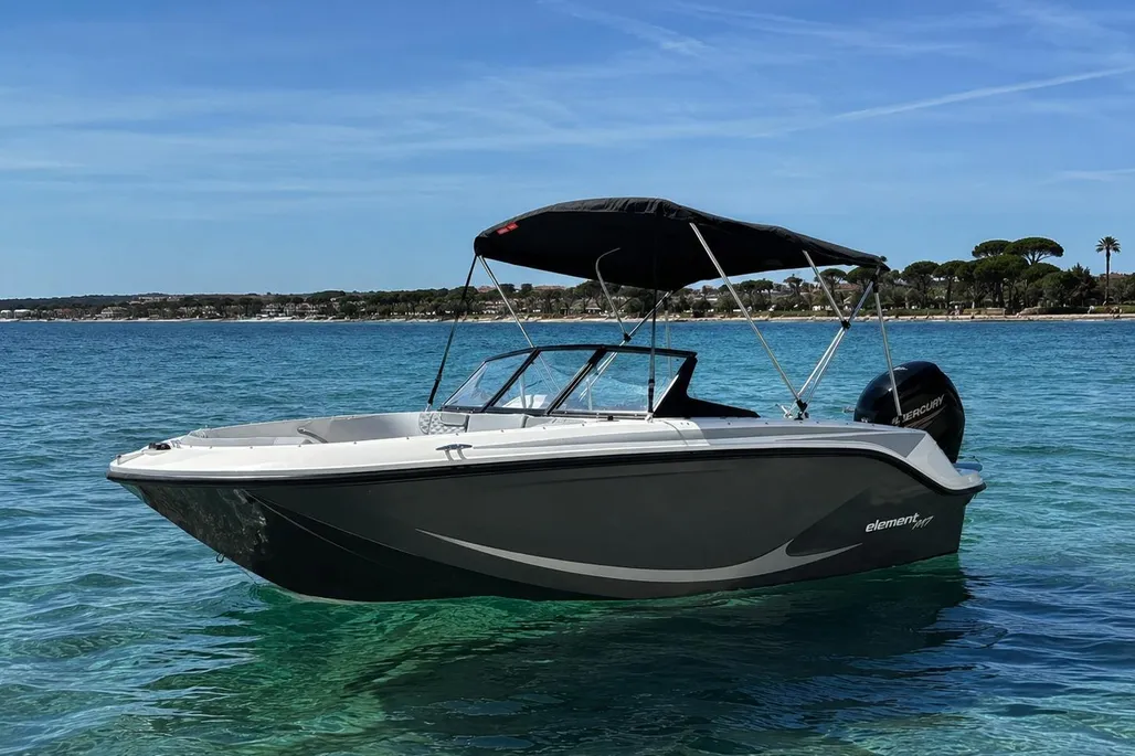 Bayliner Element M17 gebraucht - Foto 1