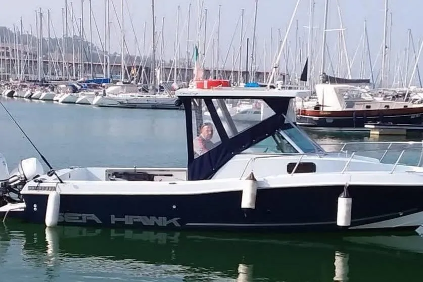 Chris-Craft 21 Sea Hawk gebraucht - Foto 1