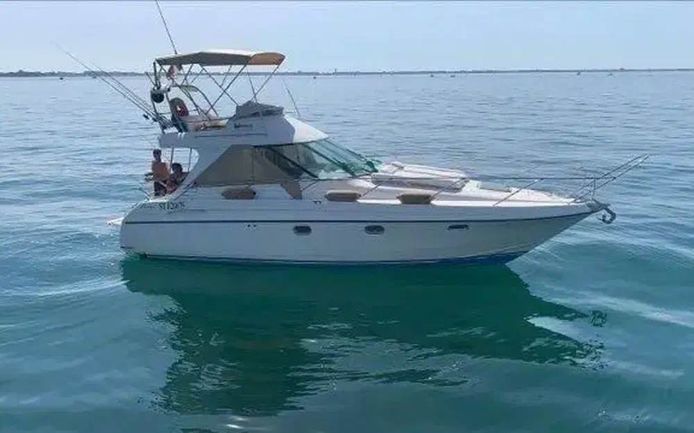 Beneteau Flyer F1 used - photo 1