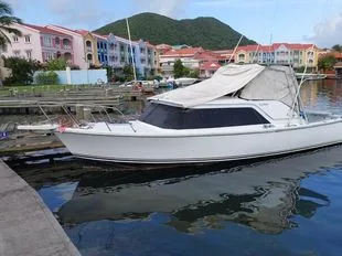 Bertram 31 SF used - photo 1