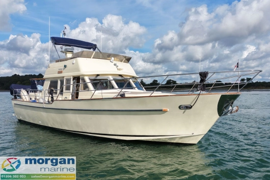 Sea Ranger 448 usato - foto 1