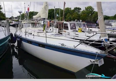 Hanseat 35 used - photo 1