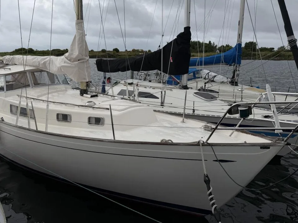 Hallberg-Rassy Rasmus 35 d'occasion - photo 1