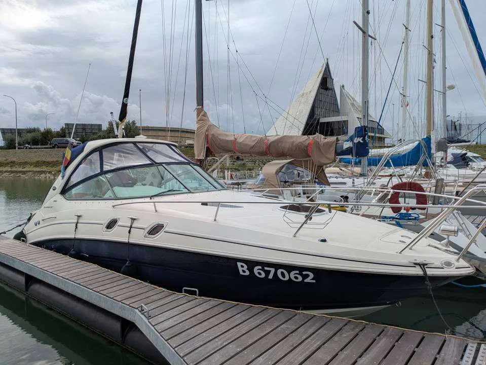 Sea Ray SUNDANCER 305 gebraucht - Foto 1