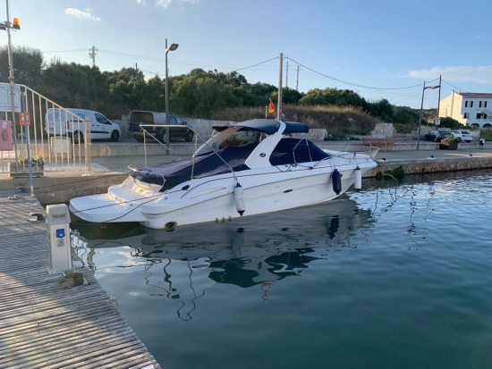 Sea Ray 290 SS gebraucht - Foto 1