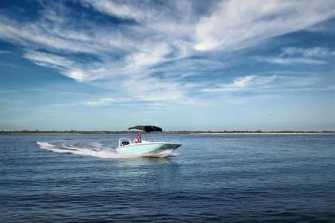 Boston Whaler 160 Super Sport used - photo 1