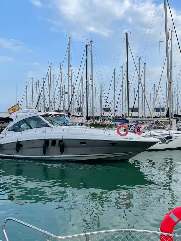 Sea Ray 515 gebraucht - Foto 1