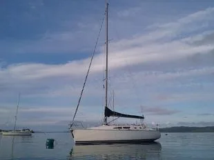 Jeanneau Sun Fast 37 usato - foto 1
