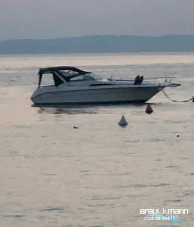 Sea Ray 310 DA d'occasion - photo 1