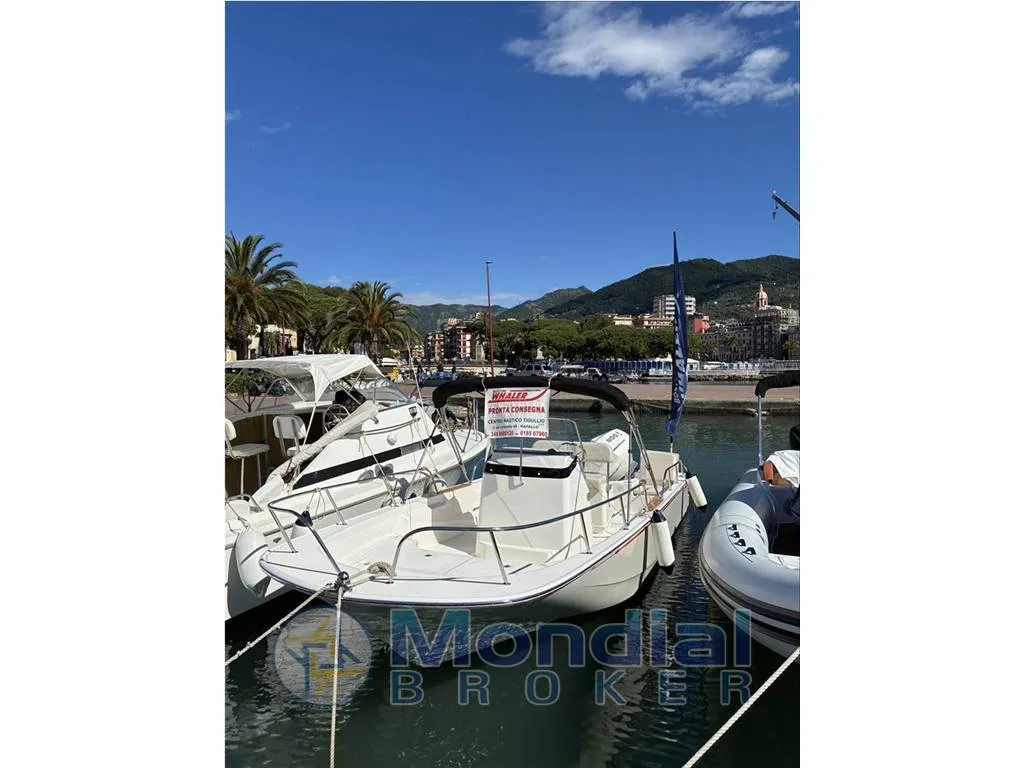 Boston Whaler 210 Montauk used - photo 1
