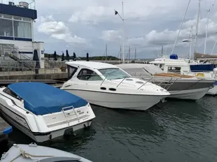 Sealine SC29 usato - foto 1
