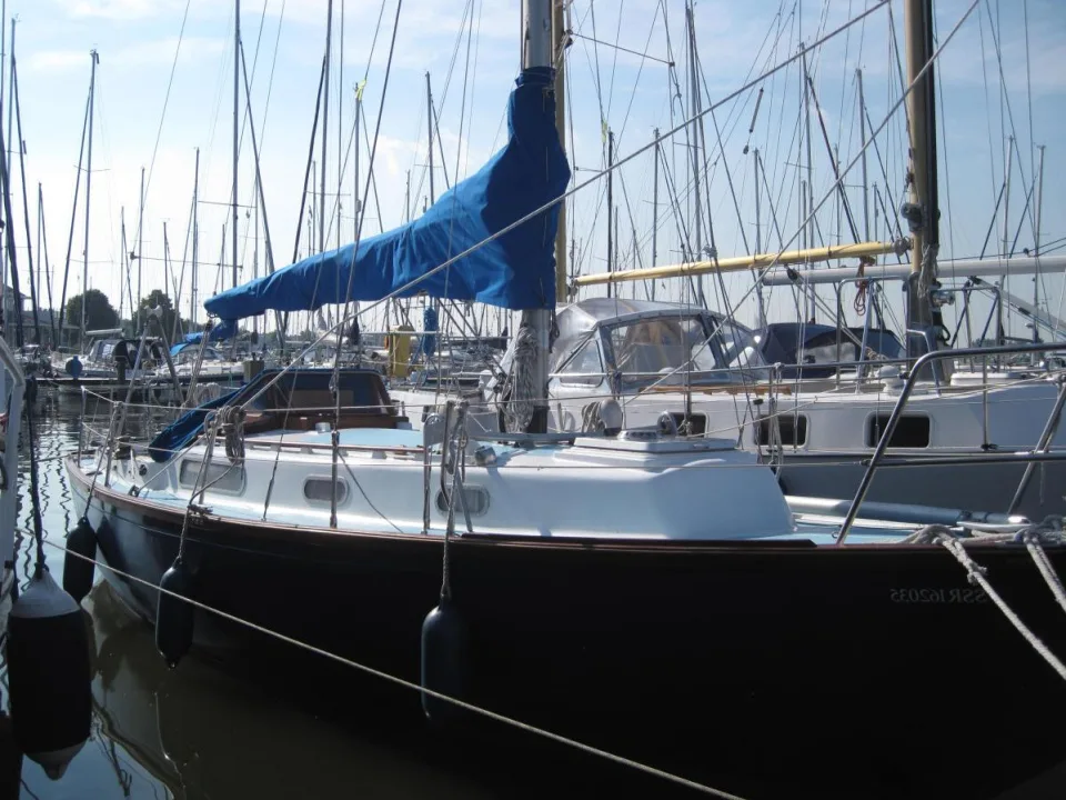 Rustler 31 usato - foto 1