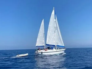 Alpa 42 used - photo 1