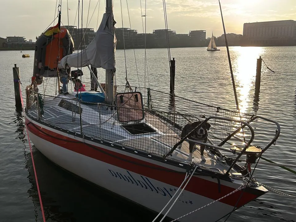 Helmsmann 31 usato - foto 1