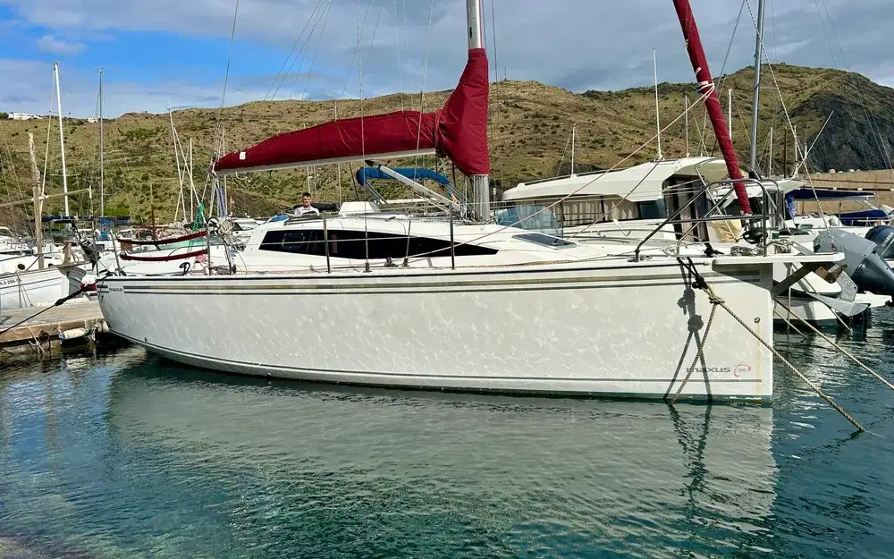 Maxus Yachts MAXUS 26 usato - foto 1