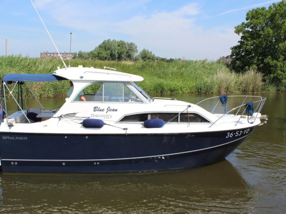 Bayliner Discovery 246 gebraucht - Foto 1