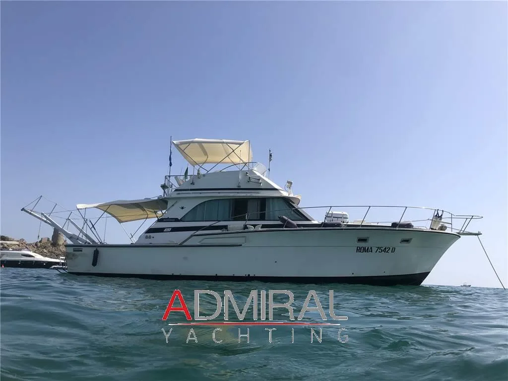 Bertram Yacht 46.6 Convertible d'occasion - photo 1
