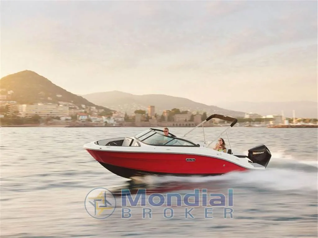 Sea Ray SPX190 usato - foto 1