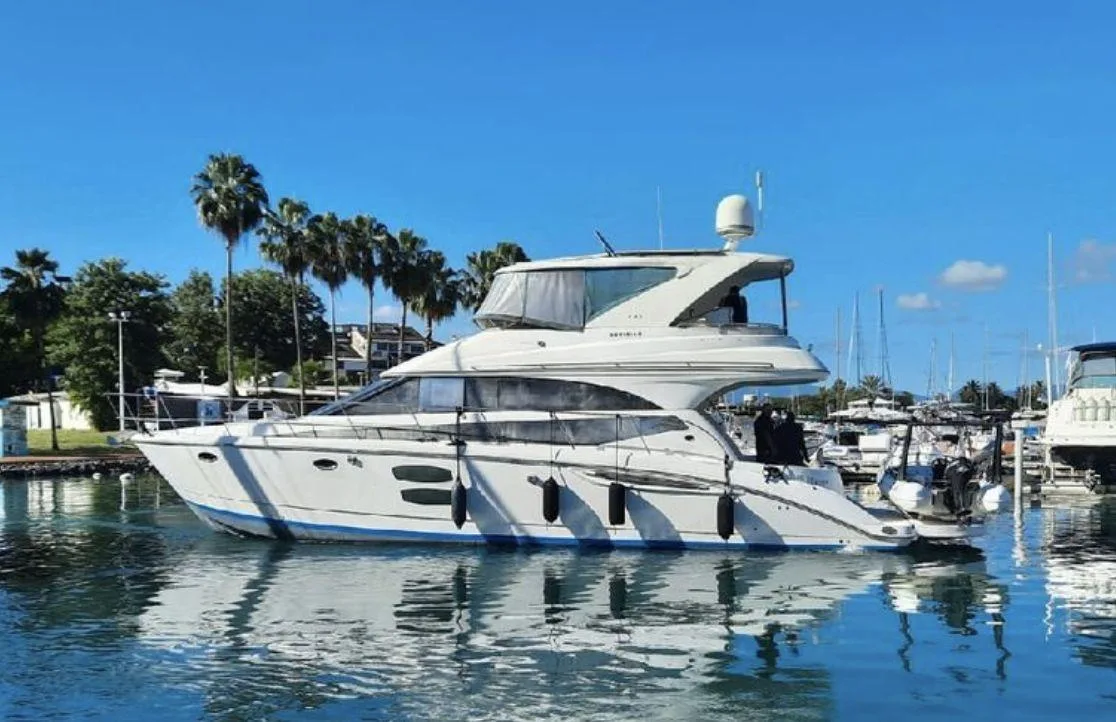 Meridian 441 gebraucht - Foto 1
