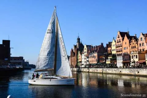 Scandinavia 35 used - photo 1