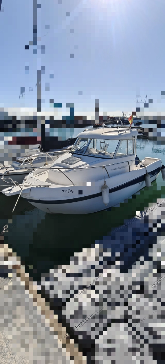 Felco Delfyn 595 plus usato - foto 1