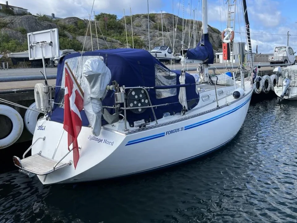 Forgus 31 used - photo 1
