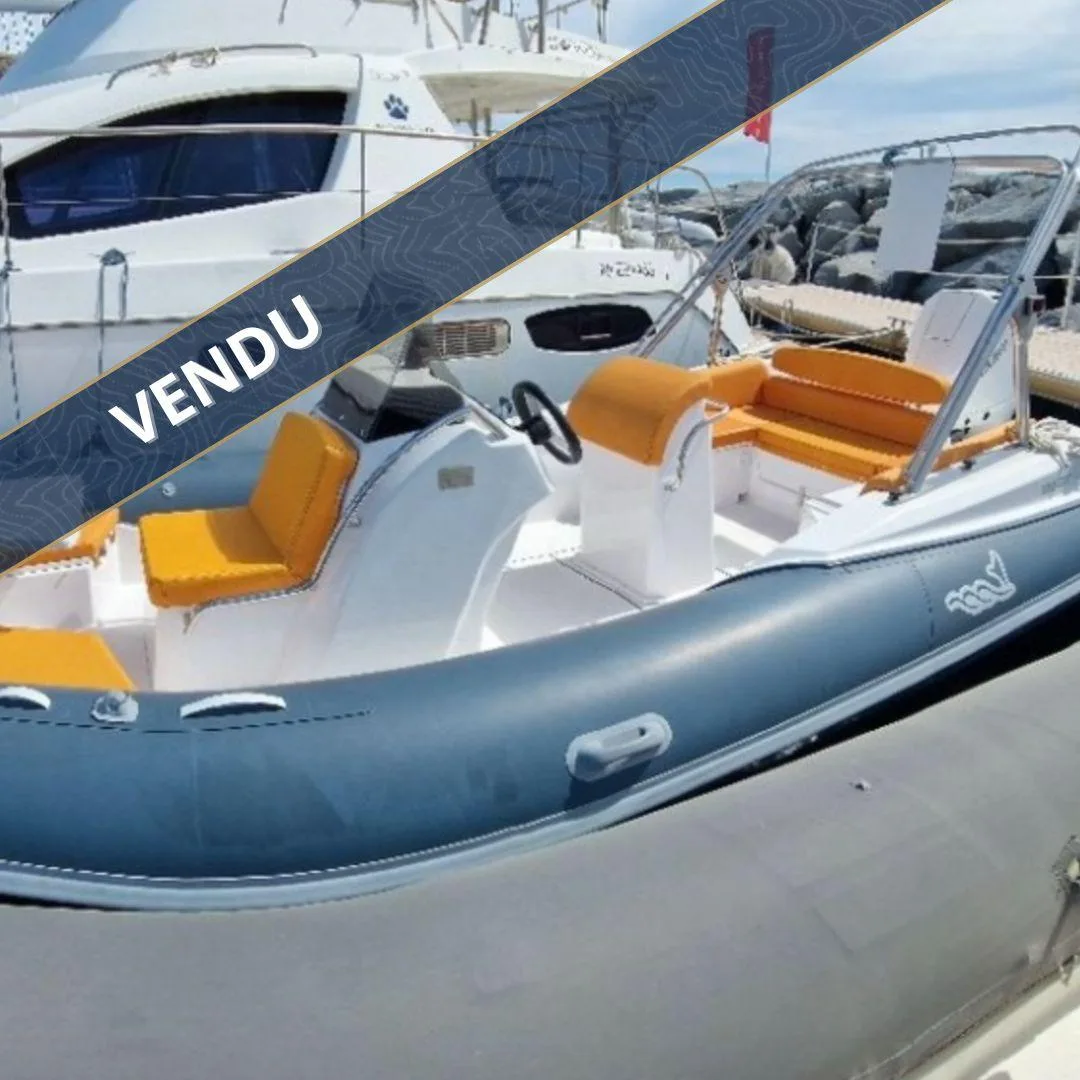 MV Marine Gt 25 d'occasion - photo 1
