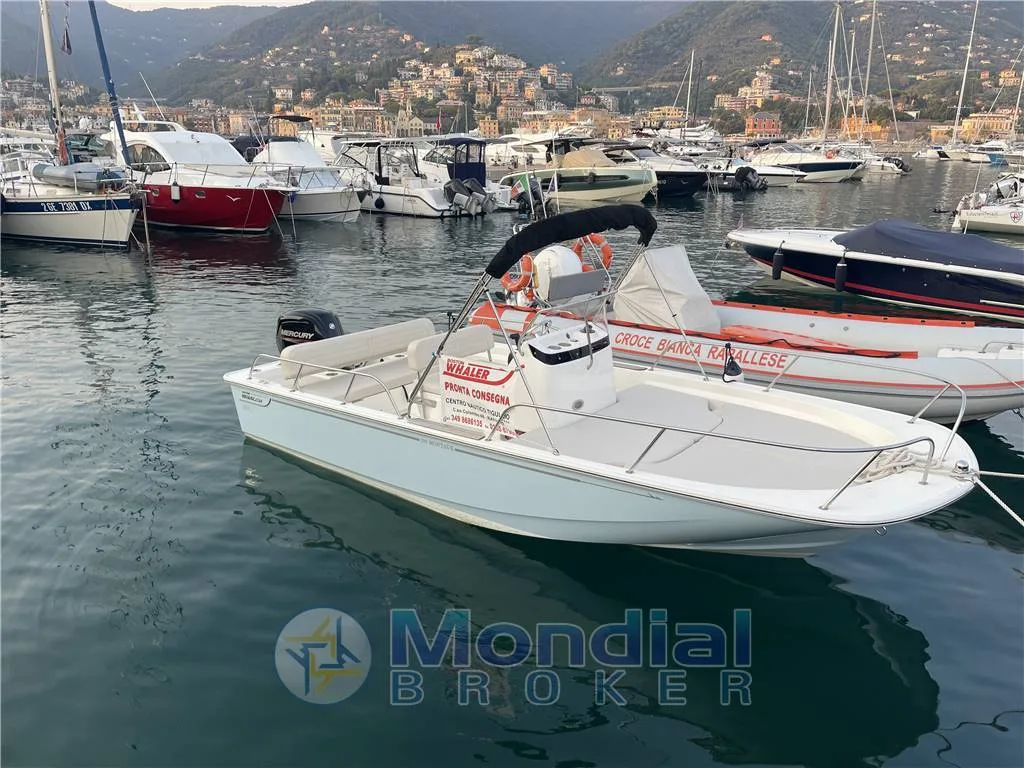 Boston Whaler 190 Montauk used - photo 1