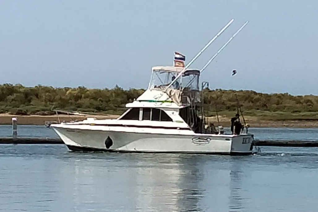 Bertram 35 flybridge used - photo 1