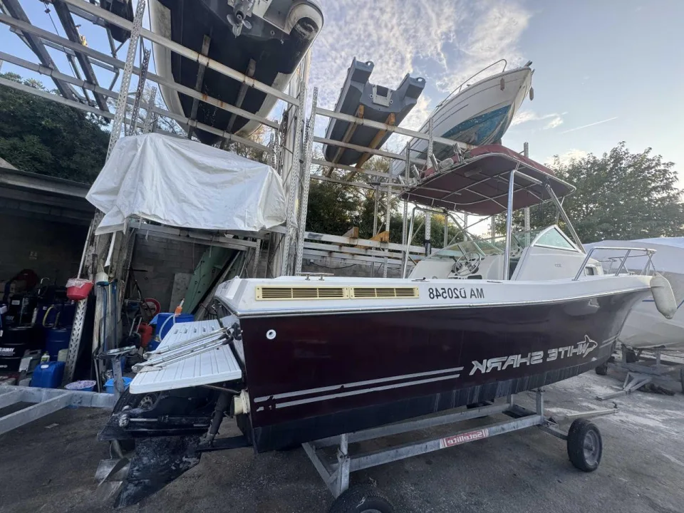 White Shark 237 WA d'occasion - photo 1