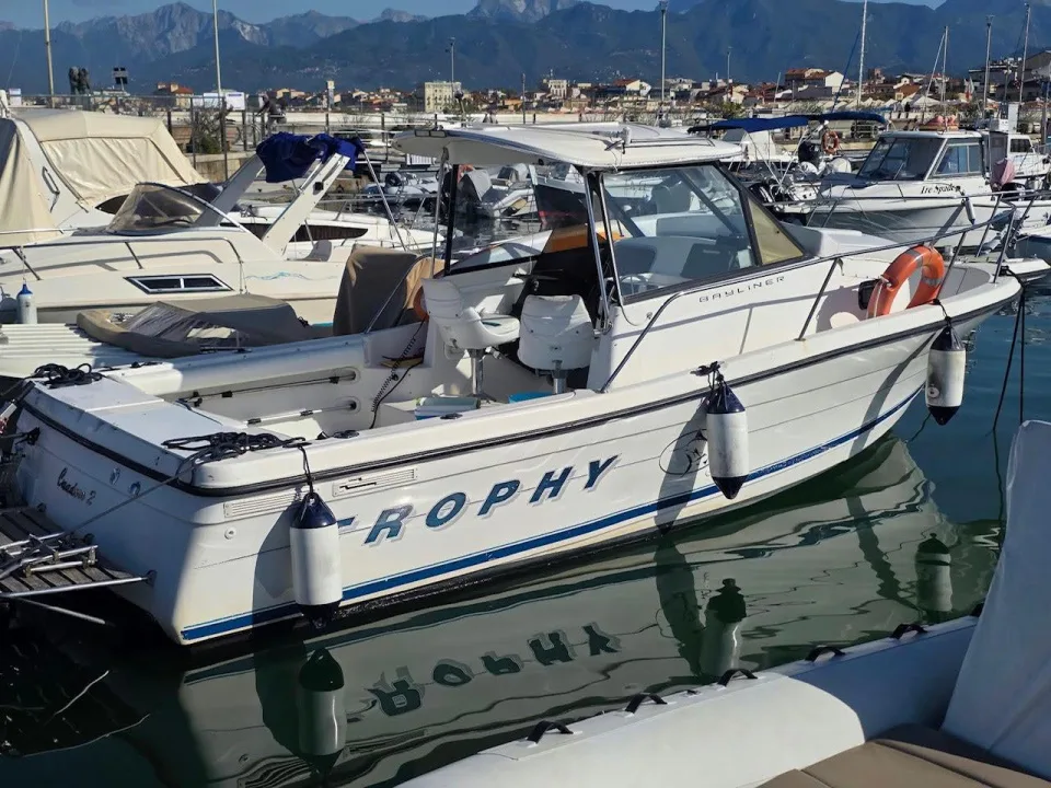 Bayliner Trophy 2352 usato - foto 1