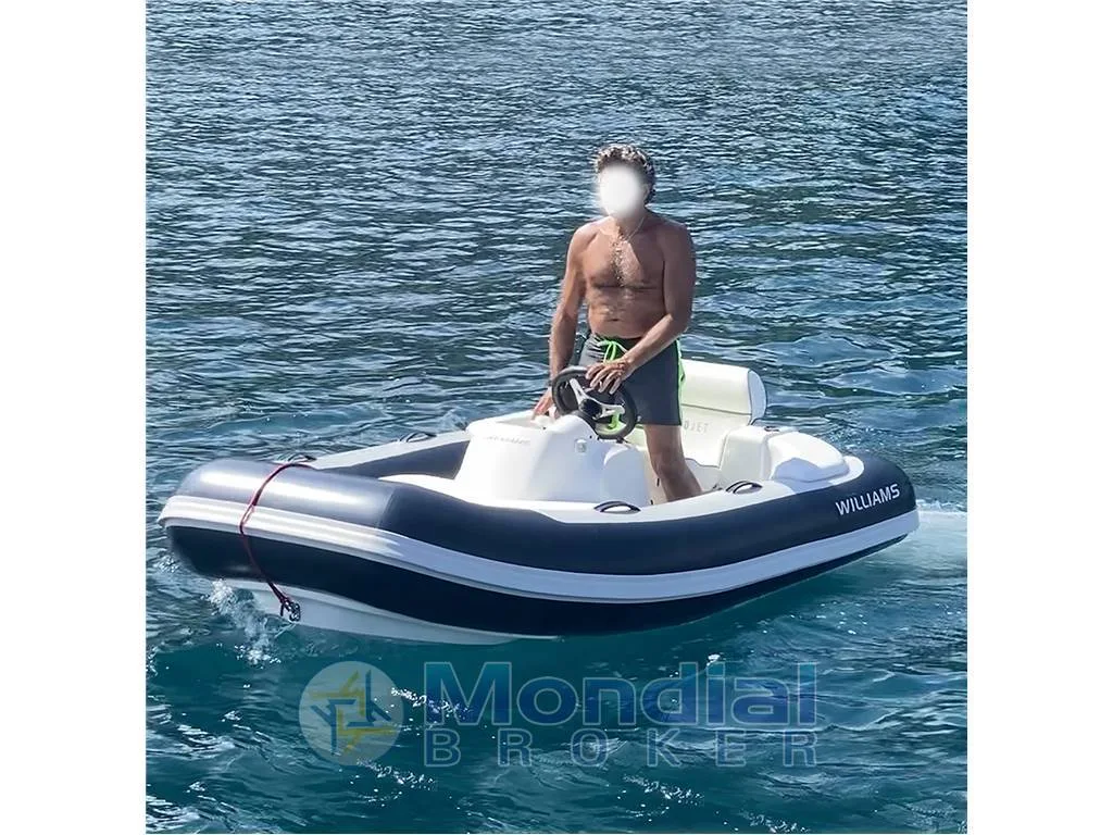 WILLIAMS 285 TURBOJET MODELLO S d'occasion - photo 1