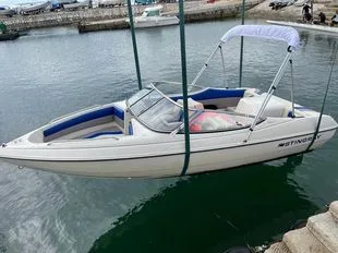 Stingray 556 ZP used - photo 1