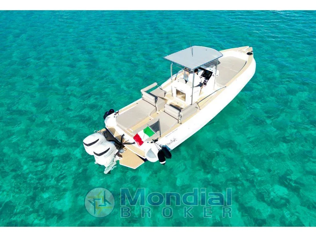 Seascan Marine One 999 Maxitender d'occasion - photo 1