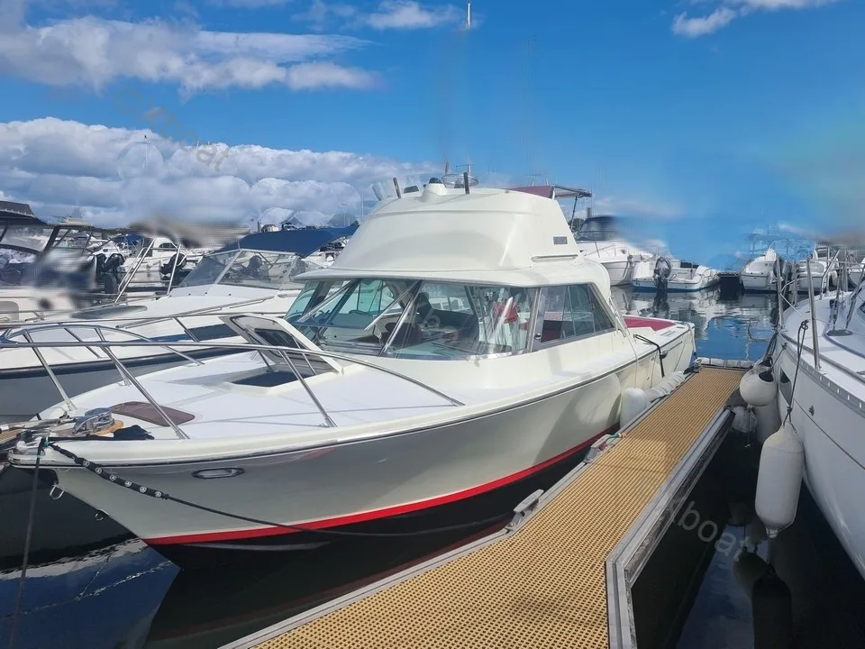 Riva Bertram 25 Sport Fisherman gebraucht - Foto 1