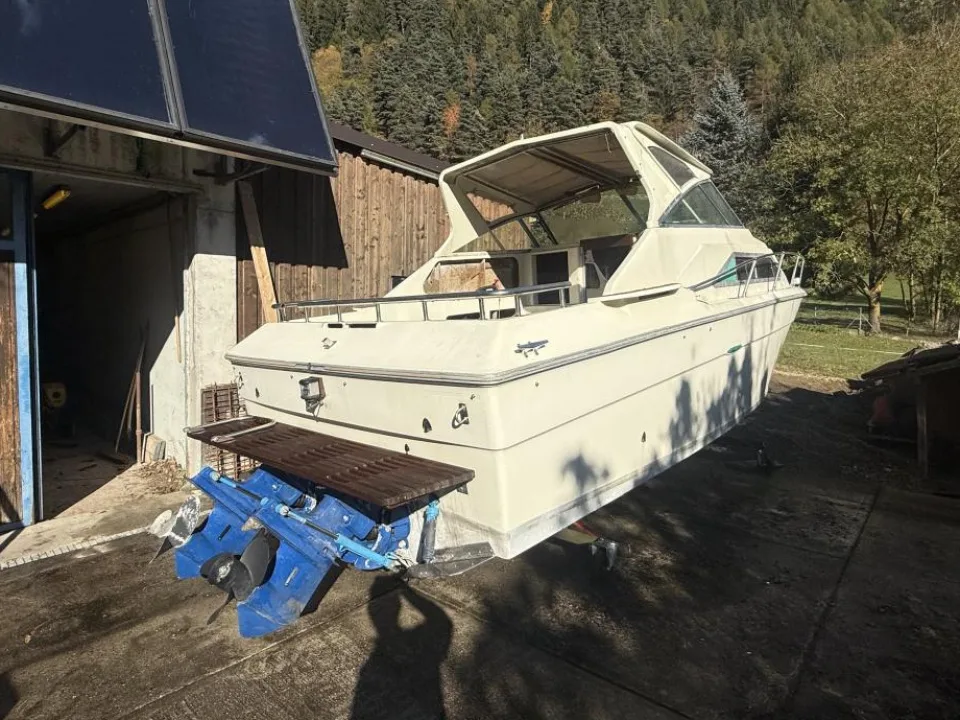 Sea Ray Srw 260 gebraucht - Foto 1