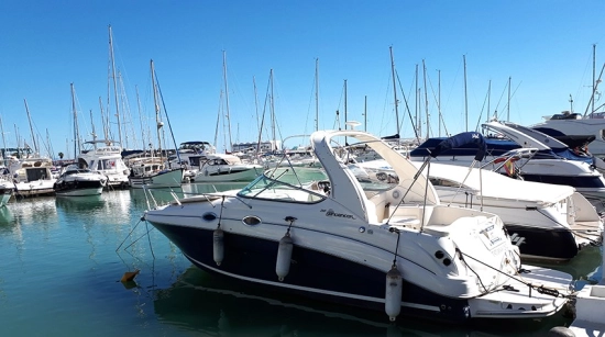Sea Ray 315 gebraucht - Foto 1