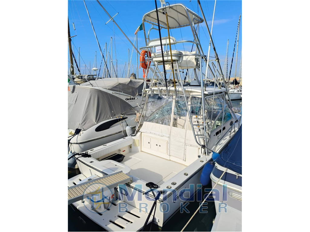Carolina Classic 28 Express Tuna Full d'occasion - photo 1