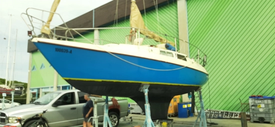 Neptunus Neptun 26 d'occasion - photo 1