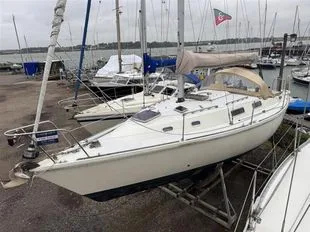 Westerly Fulmar usato - foto 1