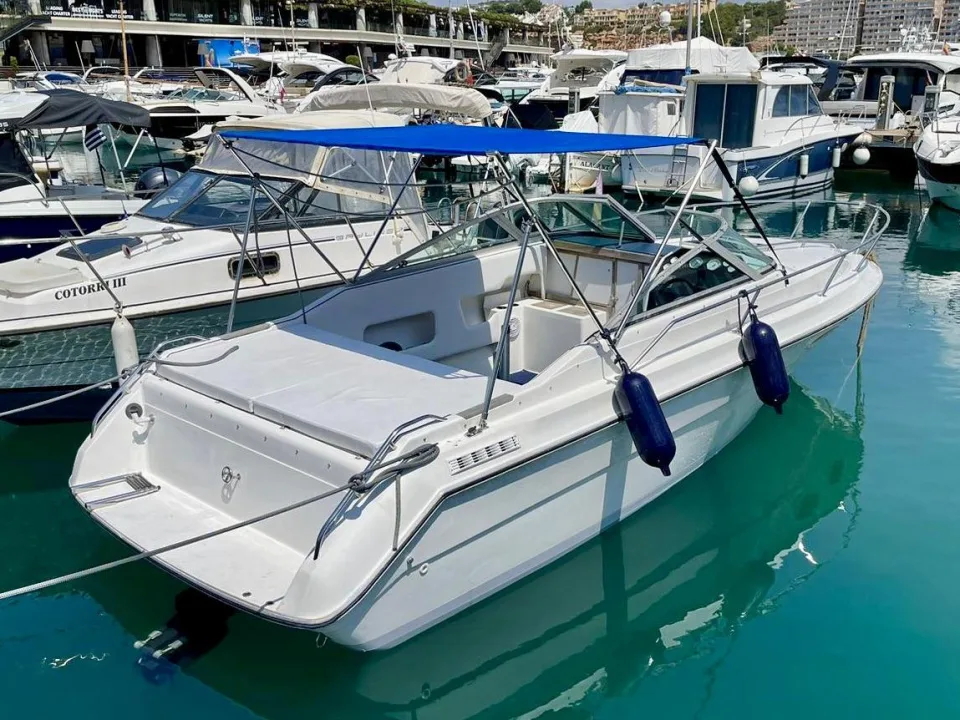 Sea Ray 230 gebraucht - Foto 1