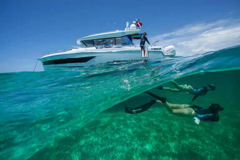 Wellcraft Wellcraft 38 Explorer