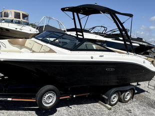 Sea Ray SPX 210 BOWRIDER + MERCRUISER 4.5L gebraucht - Foto 1