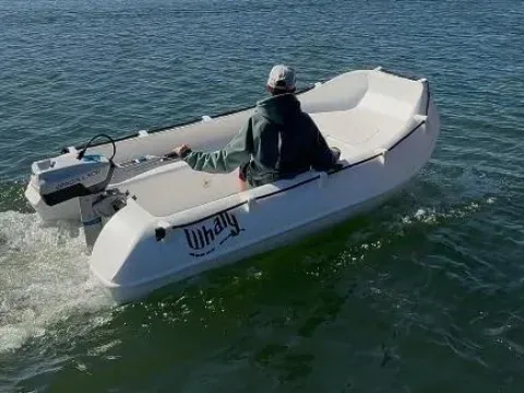Whaly 270 mit ePropulsion Spirit 1 Motor used - photo 1