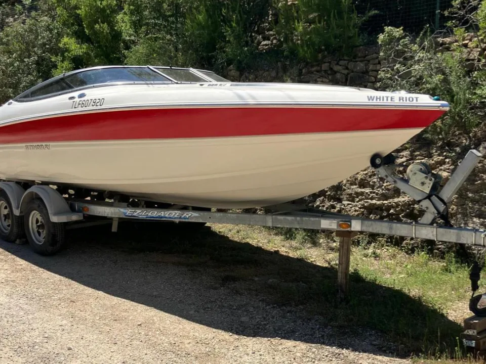 Stingray 225 SX used - photo 1